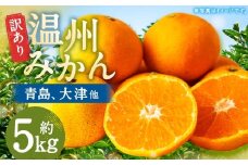 【訳あり】 長崎県時津町産 温州みかん （青島、大津他） 約5kg （2L～3Lサイズ） 【2025年12月下旬～2026年1月下旬迄発送予定】 5キロ 蜜柑 みかん 柑橘 果物 果実 フルーツ 国産 九州 長崎県 時津町 常温
