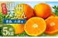 【訳あり】 長崎県時津町産 温州みかん（青島、大津他） 約5kg