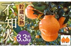 【数量限定】貯蔵 完熟不知火 約3.3kg【2026年3月下旬発送開始】  不知火 フルーツ 果物 蜜柑 柑橘 国産 長崎県産 九州産 デコポンと同一品種