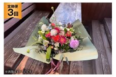 花 定期便 冬 生花 アレンジメント Sサイズ 計3回 [ミドリブ 長崎県 東彼杵町 hs42bag220006] お花 アレンジメントフラワー アレンジメント花 玄関飾り