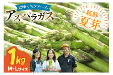 アスパラ アスパラガス 夏芽アスパラガス 1kg M L サイズ混合 [はゆっちFARM 長崎県 東彼杵町 hs42bag360000] アスパラ あすぱら 新鮮 夏