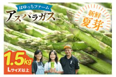 アスパラ アスパラガス 夏芽アスパラガス 1.5kg L サイズ以上 [はゆっちFARM 長崎県 東彼杵町 hs42bag360006] アスパラ あすぱら 新鮮 夏