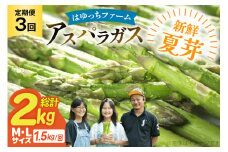 アスパラ アスパラガス 定期便 先行予約 夏芽アスパラガス 1.5kg M L サイズ混合 3回 計4.5kg [はゆっちFARM 長崎県 東彼杵町 hs42bag360004] アスパラ あすぱら 新鮮 夏
