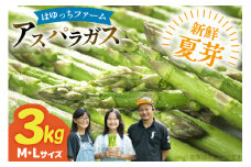 アスパラ アスパラガス 夏芽アスパラガス 3.0kg M L サイズ混合 [はゆっちFARM 長崎県 東彼杵町 hs42bag360007] アスパラ あすぱら 新鮮 夏