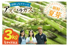 アスパラ アスパラガス 夏芽アスパラガス 3.0kg L サイズ以上 [はゆっちFARM 長崎県 東彼杵町 hs42bag360008] アスパラ あすぱら 新鮮 夏