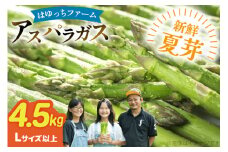 アスパラ アスパラガス 夏芽アスパラガス 4.5kg Lサイズ以上 [はゆっちFARM 長崎県 東彼杵町 hs42bag360010] アスパラ あすぱら 新鮮 夏