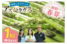 アスパラ アスパラガス 春芽アスパラガス 1kg M L サイズ混合 [はゆっちFARM 長崎県 東彼杵町 hs42bag360012] アスパラ あすぱら 新鮮 春