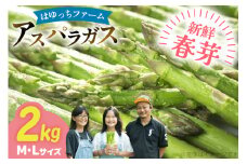 アスパラ アスパラガス 春芽アスパラガス 2kg M L サイズ混合 [はゆっちFARM 長崎県 東彼杵町 hs42bag360014] アスパラ あすぱら 新鮮 春