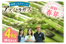 アスパラ アスパラガス 春芽アスパラガス 4kg M L サイズ混合 [はゆっちFARM 長崎県 東彼杵町 hs42bag360018] アスパラ あすぱら 新鮮 春