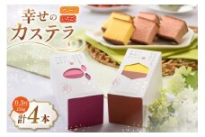 カステラ 幸せのカステラ 0.3号 155g 2種 セット プレーン2本 いちご2本 計4本 [長崎カステラセンター心泉堂 長崎県 東彼杵町 hs42bag180017] 和菓子 かすてら 長崎 お菓子 おやつ