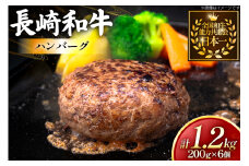 ハンバーグ 長崎和牛 100％ ハンバーグ (200g×6個) [黒牛 長崎県 東彼杵町 hs42bag750077] 牛肉100% 肉 お肉 おかず