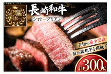牛肉 和牛 長崎和牛 シャトーブリアン 150g 2枚 計300g [黒牛 長崎県 東彼杵町 hs42bag750078] 赤身肉 ステーキ シャトー シャトーブリアン 長崎和牛 和牛