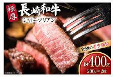 牛肉 和牛 長崎和牛 極厚 シャトーブリアン 200g 2枚 約400g [黒牛 長崎県 東彼杵町 hs42bag750089] 赤身肉 ステーキ シャトー シャトーブリアン 長崎和牛 和牛