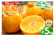 【期間限定発送】【先行予約100個限定】 みかん 山田さんちの露地不知火(しらぬい) 約5kg [長崎県 東彼杵町 hs42bag330001] 果物 柑橘 国産 長崎産 東彼杵 数量限定