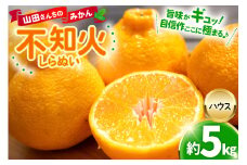 【期間限定発送】【先行予約100個限定】 みかん 山田さんちのハウス不知火(しらぬい) 約5kg [長崎県 東彼杵町 hs42bag330002] 果物 柑橘 国産 長崎産 東彼杵 数量限定