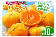 【期間限定発送】 【先行予約100個限定】みかん 温州みかん 10kg [長崎県 東彼杵町 hs42bag330003] 果物 くだもの フルーツ ミカン 柑橘 国産 長崎産 東彼杵 数量限定 期間限定