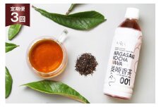 お茶 ペットボトル 定期便 長崎香茶びわ 500ml 24本 3回 総計72本 [サンダイ 長崎県 東彼杵町 hs42bag230002] 茶 びわ茶 ビワ茶 枇杷茶 琵琶茶
