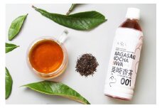 お茶 ペットボトル 長崎香茶びわ 500ml 24本 [サンダイ 長崎県 東彼杵町 hs42bag230004] 茶 びわ茶 ビワ茶 枇杷茶 琵琶茶