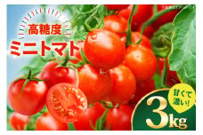 ミニトマト 高糖度 【甘くて濃い】 ミニトマト 3kg [山口製茶 長崎県 東彼杵町 hs42bag310000] 甘い 濃い エコ スイート 単為結果性 自然着果