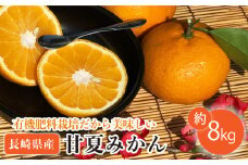 【先行受付】甘夏みかん 有機肥料栽培 約8kg【おだ農園】[OAG001] / みかん ミカン 柑橘 果物  フルーツ あまなつ 甘夏ミカン 甘夏 あまなつ みかん 長崎県産 蜜柑 数量限定 みかん