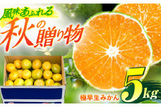【数量限定】極早生みかん 約5kg【おだ農園】[OAG002] / マルチシート栽培 ミカン 柑橘 果物  フルーツ みかん ごくわせ 早生みかん みかん 蜜柑 極早生 みかん 秋ミカン ゴクワセミカン