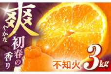 【数量限定】不知火 袋掛け 約3kg【おだ農園】[OAG004] / 柑橘 ミカン 柑橘 果物  フルーツ みかん 柑橘 みかん しらぬい 不知火みかん シラヌイ 柑橘 蜜柑 柑橘類 