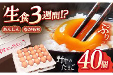 産みたて新鮮卵 野中のたまご  40個【野中鶏卵】[OAC001] / たまご 長持ち 濃厚 たまご 濃厚 卵料理 タマゴ 鶏卵 たまご 卵かけご飯 たまご 卵焼き たまご 新鮮 卵 贈答 たまご