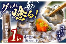 【先行受付】【数量限定】川棚 生 なまこ 約1kg ※2024年12月中旬以降発送【森水産】[OAI001] / 大村湾なまこ 高級なまこ 新鮮なまこ ナマコ おつまみ 海鮮 魚介 新鮮魚介類 正月 産地直送海鮮 海鼠 