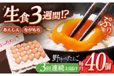 【3回定期便】産みたて新鮮卵 野中のたまご  40個×3回 計120個【野中鶏卵】[OAC004] / 卵 たまご 長持ち 濃厚 玉子 卵 濃厚 卵料理 タマゴ 鶏卵 オムレツ 卵かけご飯 卵焼き 卵 おいしい 美味しい たまご 大好評 料理 新鮮 卵 自宅 贈答