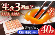 【6回定期便】産みたて新鮮卵 野中のたまご  40個×6回 計240個【野中鶏卵】[OAC005] / 卵 たまご 長持ち 濃厚 玉子 卵 濃厚 タマゴ 鶏卵 オムレツ 卵かけご飯 卵焼き 卵 おいしい 美味しい たまご 料理 新鮮 卵 自宅 贈答