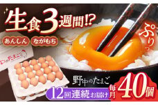 【12回定期便】産みたて新鮮卵 野中のたまご  40個×12回 計480個【野中鶏卵】[OAC006] / 卵 たまご 長持ち 濃厚 玉子 卵 濃厚 タマゴ 鶏卵 オムレツ 卵かけご飯 卵焼き 卵 おいしい 美味しい たまご 料理 新鮮 卵 自宅 贈答