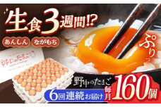 【6回定期便】産みたて新鮮卵 野中のたまご  160個×6回 計960個【野中鶏卵】[OAC011] / 卵 たまご 長持ち 濃厚 玉子 卵 濃厚 タマゴ 鶏卵 オムレツ 卵かけご飯 卵焼き 卵 おいしい 美味しい たまご 料理 新鮮 卵 自宅 贈答 定期便