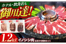 ジビエ 天然イノシシ肉 おまかせ焼肉セット 1.2kg （ロース・モモ・バラ）【照本食肉加工所】[OAJ006] / 猪 猪肉 いのしし肉 イノシシ イノシシ肉 ジビエ いのしし 長崎県猪 川棚町産猪 ぼたん鍋用いのしし 九州産イノシシ じびえ ジビエ ジビエ肉