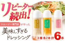 スムージー専門店が作った「美味しすぎるドレッシング」 6本セット (玉ねぎ・人参・ごぼう 各300ml) / 調味料 サラダドレッシング 野菜ドレッシング 野菜ソース 玉ねぎドレッシング 調味料ドレッシング たまねぎドレッシング タマネギどれっしんぐ 調味料 川棚調味料 スムージー調味料【ビタミン・スタンド】[OAK001] 
