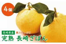 【数量限定】長崎ざぼん 4個【長崎ぶんたんの会】[OAF003] / 柑橘 ざぼん 完熟 ミカン 柑橘 果物 フルーツ 朱欒 柑橘 ザボン ざぼん 柑橘類 かんきつ みかん ぼんたん