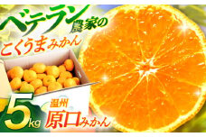 【数量限定】温州高糖度 原口みかん 約5kg【長崎ぶんたんの会】[OAF004] / みかん ミカン 柑橘 みかん 原口みかん 人気みかん 高糖度みかん ミカン 柑橘類 みかん 温州みかん