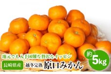 【数量限定】越冬完熟 原口 みかん 約5kg【長崎ぶんたんの会】[OAF010] / みかん ミカン 柑橘 みかん 原口みかん 人気みかん 高糖度みかん ミカン 柑橘類 みかん 温州みかん