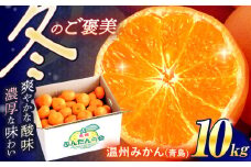 【数量限定】高糖度系 温州みかん(青島) 約10kg【長崎ぶんたんの会】[OAF006] / みかん ミカン 柑橘 果物 フルーツ 柑橘類 みかん 温州みかん みかん 長崎県産みかん 産地直送 人気みかん 蜜柑 みかん