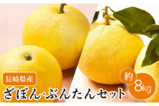 【数量限定】長崎ざぼん&ぶんたん セット 約8kg【長崎ぶんたんの会 】[OAF008] / ミカン 柑橘 果物  フルーツ かんきつ ザボン ブンタン 朱欒 文旦 食べ比べ 柑橘類 セット 詰め合わせ みかん 蜜柑