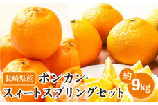 【数量限定】ポンカン&スィートスプリング 食べ比べセット 約9kg【長崎ぶんたんの会】[OAF009] / みかん ミカン 柑橘 ぽんかん 果物 フルーツ 蜜柑 みかん ポンカン 椪柑 スイートスプリング 柑橘類 みかん カンキツ ポンカン ぽんかん