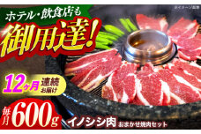 【12回定期便】ジビエ 天然イノシシ肉 おまかせ焼肉セット 600g （ロース・モモ・バラ）【照本食肉加工所】[OAJ030] / 猪 猪肉 いのしし肉 イノシシ イノシシ肉 ジビエ いのしし 長崎県猪 川棚町産猪 ぼたん鍋用いのしし 九州産イノシシ じびえ ジビエ ジビエ肉