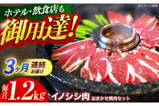 【3回定期便】ジビエ 天然イノシシ肉 おまかせ焼肉セット 1.2kg （ロース・モモ・バラ）【照本食肉加工所】[OAJ034] / 猪 猪肉 いのしし肉 イノシシ イノシシ肉 ジビエ いのしし 長崎県猪 川棚町産猪 ぼたん鍋用いのしし 九州産イノシシ じびえ ジビエ ジビエ肉