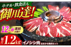 【12回定期便】ジビエ 天然イノシシ肉 おまかせ焼肉セット 1.2kg （ロース・モモ・バラ）【照本食肉加工所】[OAJ036] / 猪 猪肉 いのしし肉 イノシシ イノシシ肉 ジビエ いのしし 長崎県猪 川棚町産猪 ぼたん鍋用いのしし 九州産イノシシ じびえ ジビエ ジビエ肉