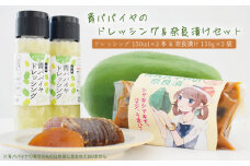青パパイヤのドレッシングと奈良漬けのセット【あい農産】[OBM001]