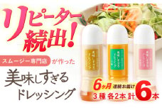 【6回定期便】スムージー専門店が作った「美味しすぎるドレッシング」 6本セット （玉ねぎ・人参・ごぼう 各300ml）【ビタミン・スタンド】[OAK005] / 調味料 肉料理 魚料理 ソース カルパッチョ 南蛮漬け タルタルソース サラダ 主婦
