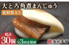 【3回定期便】大とろ角煮まんじゅう 10個 （総計30個）【株式会社岩崎食品】[OCT014] / 角煮 かくに 饅頭 角煮饅頭 長崎角煮まんじゅう おかず 惣菜 角煮 まんじゅう