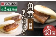 【3回定期便】角煮まんじゅう＆大とろ角煮まんじゅう 各8個 （計16個）を3回お届け！（総計48個）【株式会社岩崎食品】[OCT018] / 角煮 かくに 饅頭 角煮饅頭 長崎角煮まんじゅう おかず 惣菜 角煮 まんじゅう