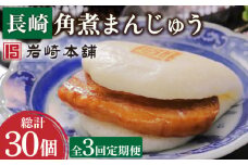 【3回定期便】長崎角煮まんじゅう 10個 総計30個【株式会社岩崎食品】[OCT022] / 角煮 かくに 饅頭 角煮饅頭 長崎角煮まんじゅう おかず 惣菜 角煮 まんじゅう