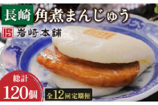 【12回定期便】長崎角煮まんじゅう 10個 総計120個【株式会社岩崎食品】[OCT024] / 角煮 かくに 饅頭 角煮饅頭 長崎角煮まんじゅう おかず 惣菜 角煮 まんじゅう