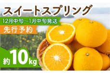 スイートスプリング 約10kg 長崎県産柑橘【田崎FARM】[OCU001] / 柑橘 スイートスプリング みかん 九州フルーツ 柑橘類 九州みかん ミカン 柑橘 九州みかん かんきつ すいーとすぷりんぐ 冬みかん